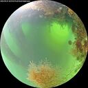./images/calvert/underwater/20260824/underwater20260824_105501M.jpg