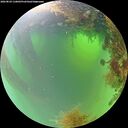 ./images/calvert/underwater/20260824/underwater20260824_110001M.jpg