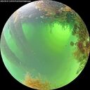 ./images/calvert/underwater/20260824/underwater20260824_110501M.jpg