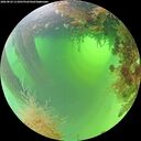 ./images/calvert/underwater/20260824/underwater20260824_111001M.jpg