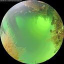 ./images/calvert/underwater/20260824/underwater20260824_111501M.jpg