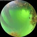 ./images/calvert/underwater/20260824/underwater20260824_112002M.jpg