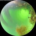 ./images/calvert/underwater/20260824/underwater20260824_112501M.jpg