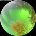 ./images/calvert/underwater/20260824/underwater20260824_113501M.jpg