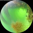 ./images/calvert/underwater/20260824/underwater20260824_114001M.jpg