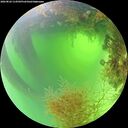 ./images/calvert/underwater/20260824/underwater20260824_114502M.jpg