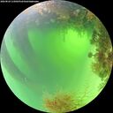 ./images/calvert/underwater/20260824/underwater20260824_115002M.jpg