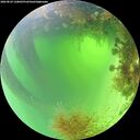 ./images/calvert/underwater/20260824/underwater20260824_120001M.jpg