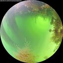 ./images/calvert/underwater/20260824/underwater20260824_120501M.jpg