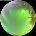 ./images/calvert/underwater/20260824/underwater20260824_121001M.jpg