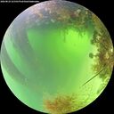 ./images/calvert/underwater/20260824/underwater20260824_121501M.jpg