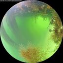 ./images/calvert/underwater/20260824/underwater20260824_122001M.jpg
