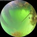 ./images/calvert/underwater/20260824/underwater20260824_122501M.jpg