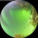 ./images/calvert/underwater/20260824/underwater20260824_123002M.jpg