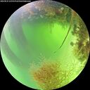 ./images/calvert/underwater/20260824/underwater20260824_123501M.jpg
