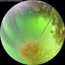 ./images/calvert/underwater/20260824/underwater20260824_124001M.jpg
