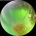 ./images/calvert/underwater/20260824/underwater20260824_124501M.jpg