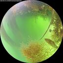 ./images/calvert/underwater/20260824/underwater20260824_125001M.jpg