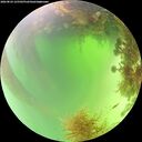 ./images/calvert/underwater/20260824/underwater20260824_125502M.jpg