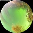 ./images/calvert/underwater/20260824/underwater20260824_130501M.jpg