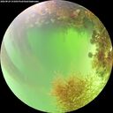 ./images/calvert/underwater/20260824/underwater20260824_131001M.jpg