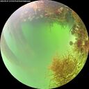 ./images/calvert/underwater/20260824/underwater20260824_131501M.jpg
