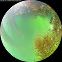 ./images/calvert/underwater/20260824/underwater20260824_132001M.jpg