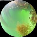 ./images/calvert/underwater/20260824/underwater20260824_132501M.jpg