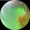 ./images/calvert/underwater/20260824/underwater20260824_133001M.jpg