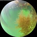 ./images/calvert/underwater/20260824/underwater20260824_133501M.jpg