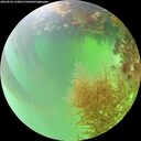 ./images/calvert/underwater/20260824/underwater20260824_134001M.jpg