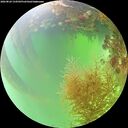 ./images/calvert/underwater/20260824/underwater20260824_134501M.jpg