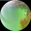 ./images/calvert/underwater/20260824/underwater20260824_135001M.jpg