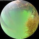 ./images/calvert/underwater/20260824/underwater20260824_135501M.jpg