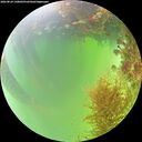 ./images/calvert/underwater/20260824/underwater20260824_140001M.jpg