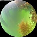 ./images/calvert/underwater/20260824/underwater20260824_140501M.jpg