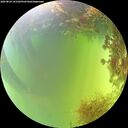 ./images/calvert/underwater/20260824/underwater20260824_141502M.jpg