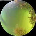 ./images/calvert/underwater/20260824/underwater20260824_143001M.jpg