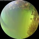./images/calvert/underwater/20260824/underwater20260824_144001M.jpg