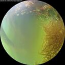 ./images/calvert/underwater/20260824/underwater20260824_144501M.jpg