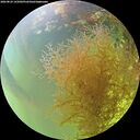 ./images/calvert/underwater/20260824/underwater20260824_145001M.jpg