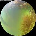 ./images/calvert/underwater/20260824/underwater20260824_145501M.jpg