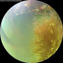 ./images/calvert/underwater/20260824/underwater20260824_150501M.jpg