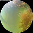 ./images/calvert/underwater/20260824/underwater20260824_151001M.jpg