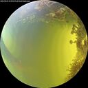./images/calvert/underwater/20260824/underwater20260824_153501M.jpg