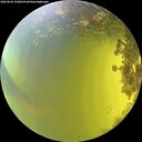 ./images/calvert/underwater/20260824/underwater20260824_154001M.jpg
