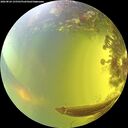 ./images/calvert/underwater/20260824/underwater20260824_155501M.jpg
