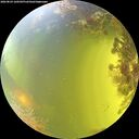 ./images/calvert/underwater/20260824/underwater20260824_160501M.jpg
