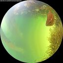 ./images/calvert/underwater/20260824/underwater20260824_162001M.jpg