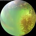 ./images/calvert/underwater/20260824/underwater20260824_162501M.jpg
